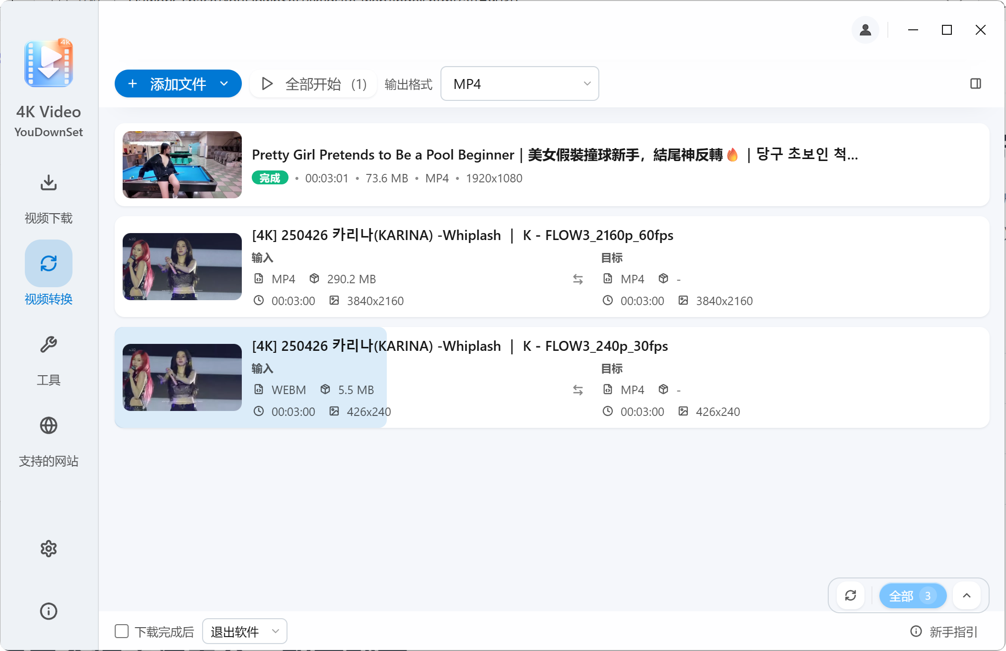 YouDownSet 视频格式转换界面