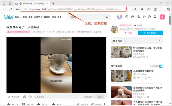 B站链接复制界面截图