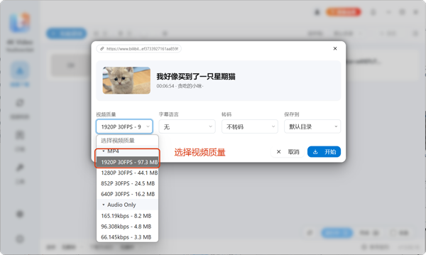 B站下载参数选择截图