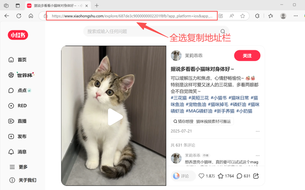小红书复制链接截图